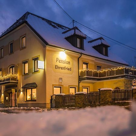 艾仁弗里德膳食公寓酒店 金德贝格 外观 照片